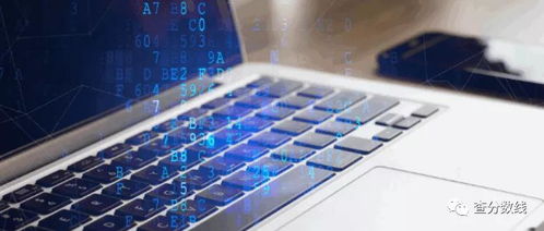 女生學計算機 如何選擇適合的專業與未來發展方向